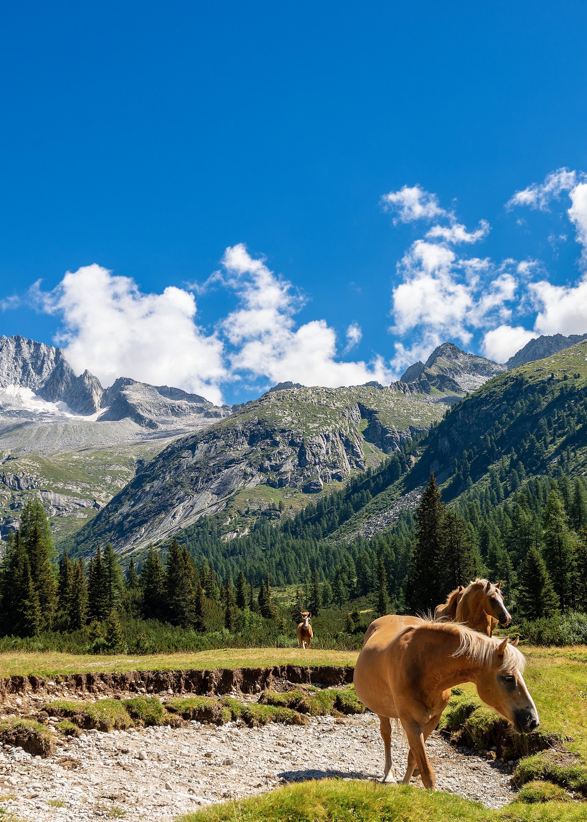 Sonderaktion November | Trentino - 4* My Active Hotel Levico Terme