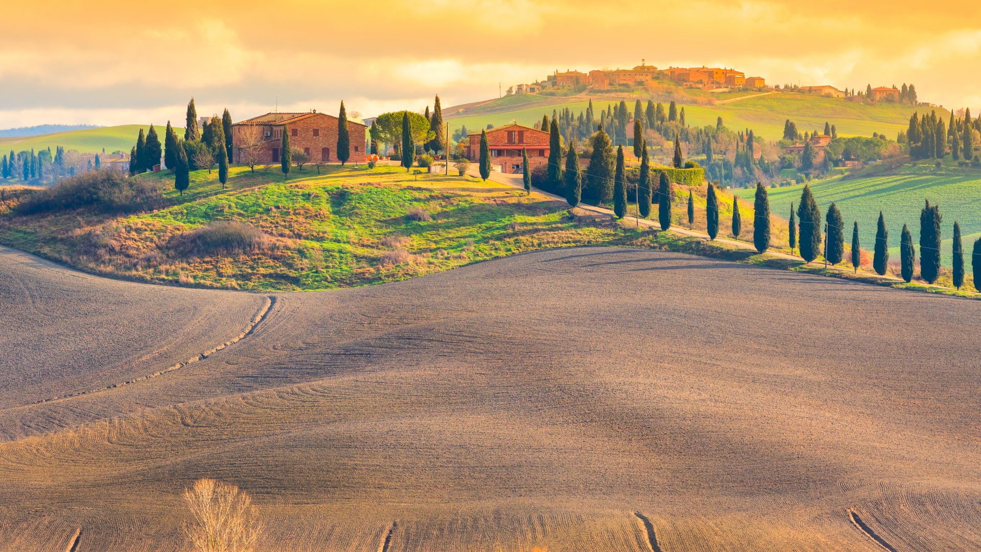 E-Bike Adventure in Tuscany & Umbria | Scenic Rides & Local Tastings