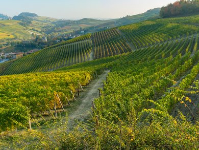 Umbria - Umbria in fiore
