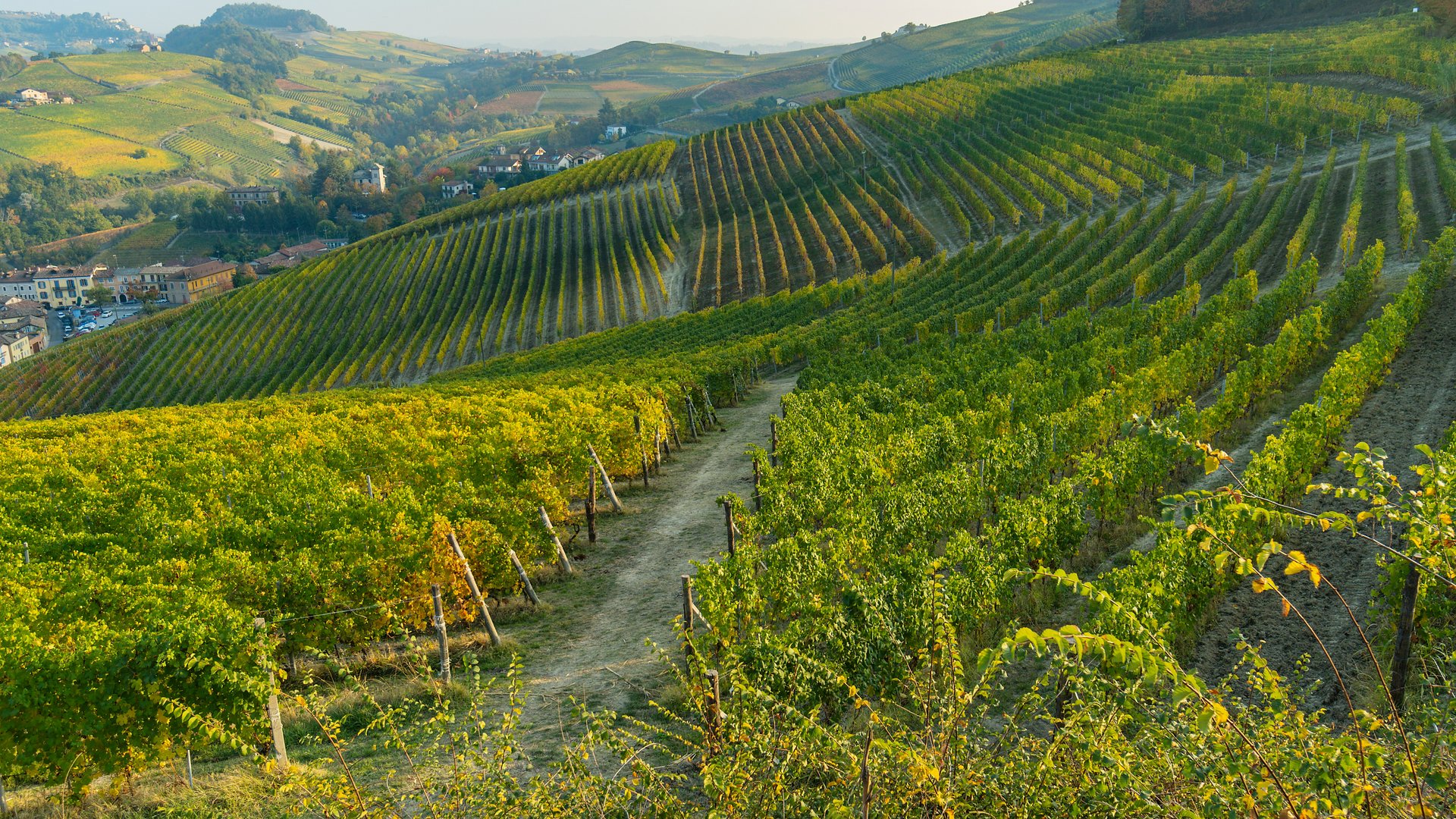 Piedmont: Slow Food, Wine & Truffles – A Culinary Group Tour for travel planners