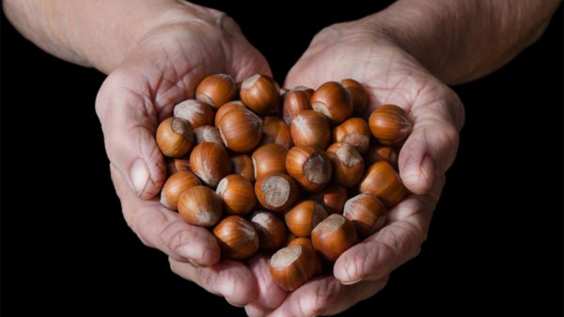 Piemont - Tulpenfest in Piemont