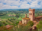 Michelangelo International Travel