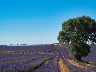Castiglia-La Mancha Castiglia-La Mancha