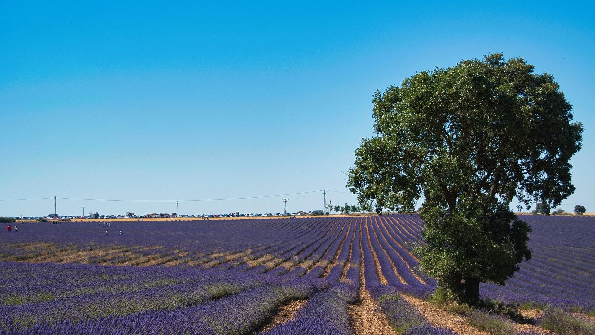 Spagna - Brihuega, Tour nella Provenza Spagnola
