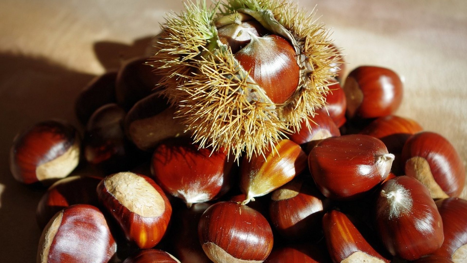 Latium - Traditionen & Aromen aus dem Latium