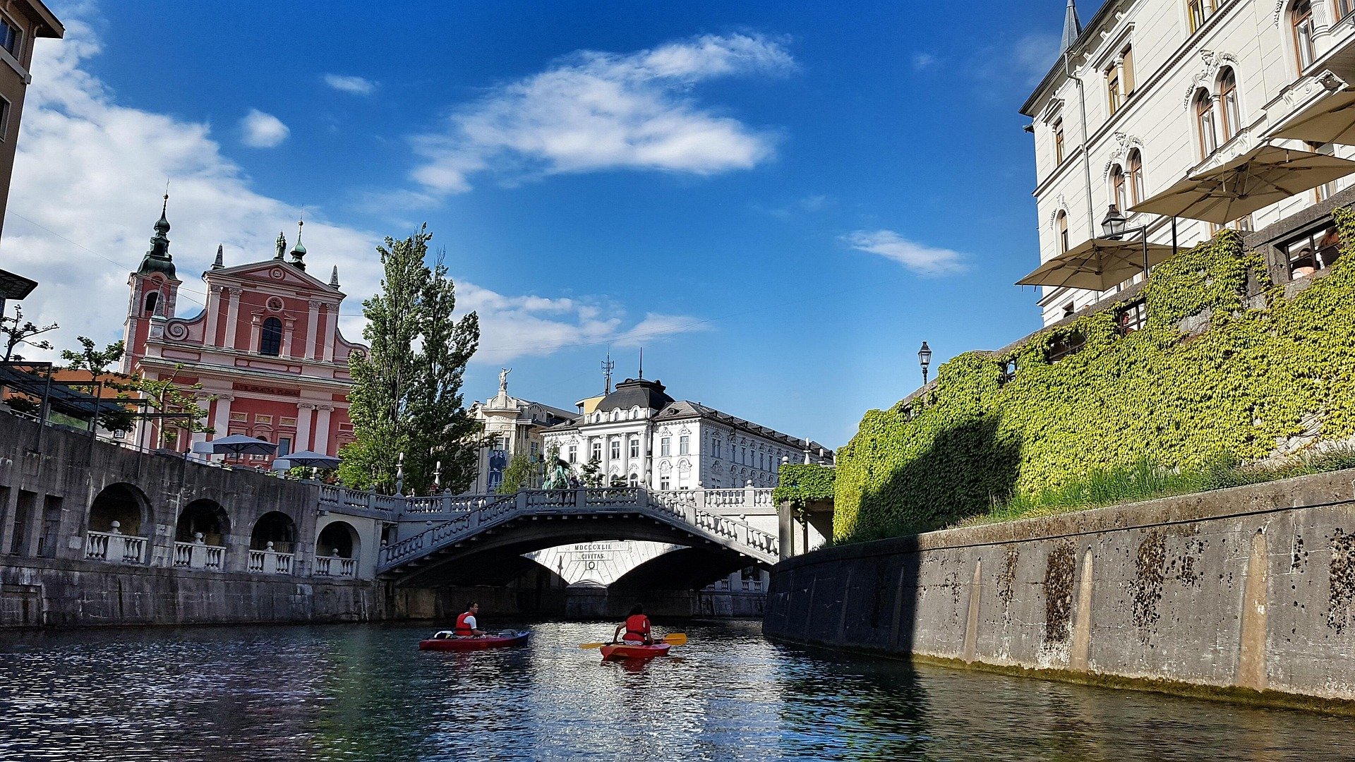Slovenia - Slovenia al calice