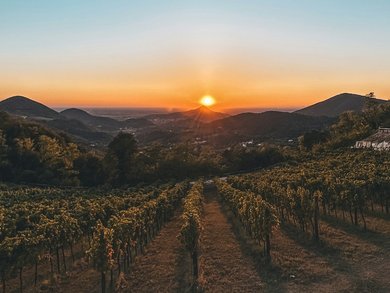 Sonderaktion November | Venetien - 4* Bonotto Hotel Palladio Sonderaktion November | Venetien - 4* Bonotto Hotel Palladio