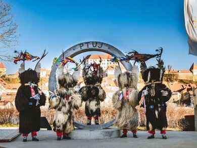 Radreise - Der Parenzana Radweg Radreise - Der Parenzana Radweg