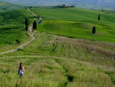 Michelangelo International Travel