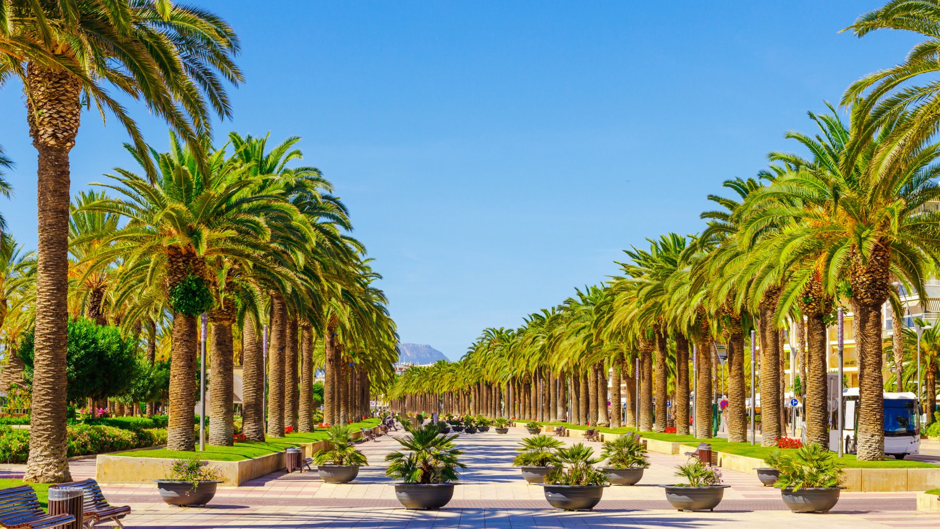 Group Tour Experiences: Olive Harvest Tour in Catalonia & Barcelona