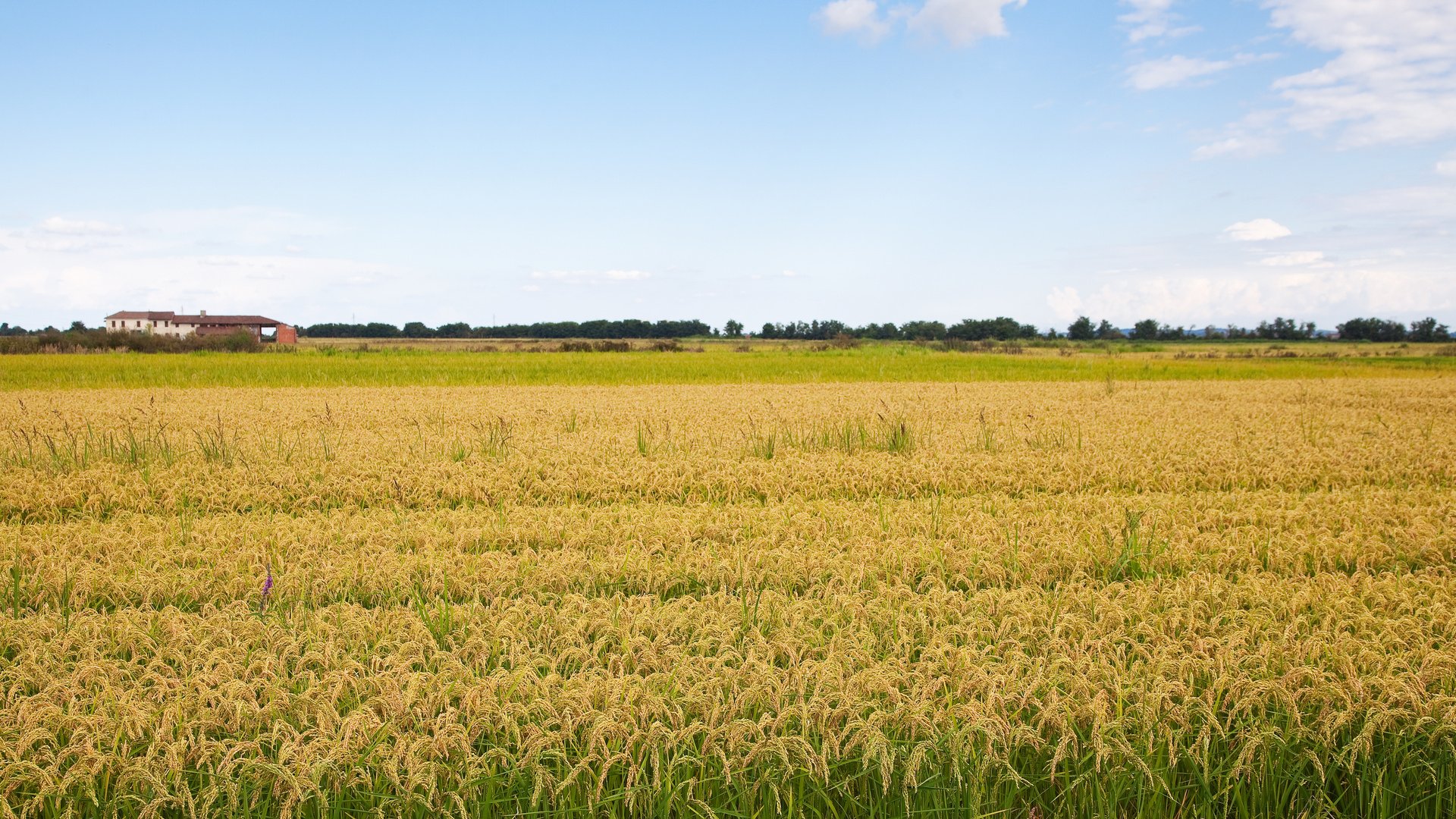 Piedmont: Slow Food, Wine & Truffles – A Culinary Group Tour for travel planners