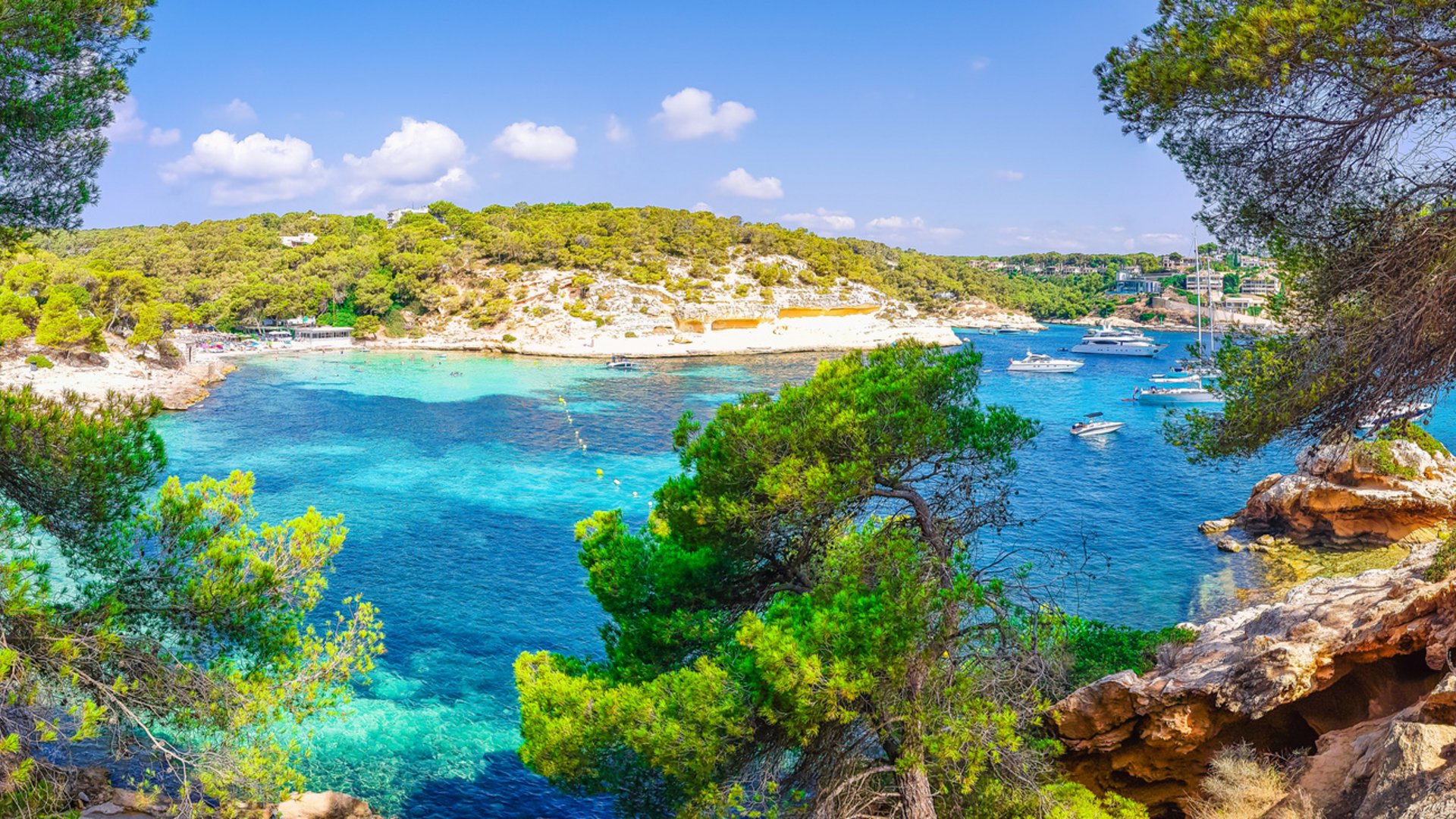 Group Tours to Mallorca: Almond Blossom & Scenic Highlights Group Tours to Mallorca: Almond Blossom & Scenic Highlights