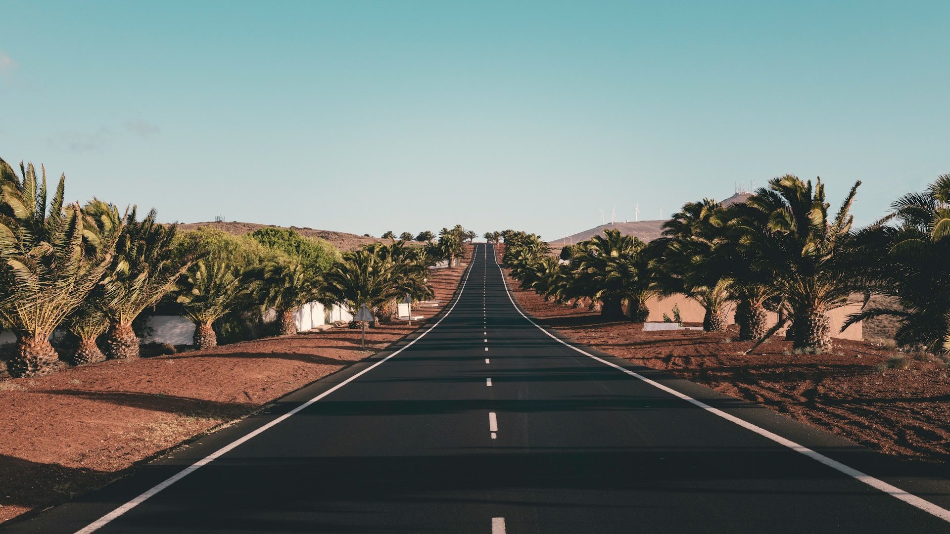 Lanzarote Hiking Tour – Ground Services for Active Travel - DMC Iberia Lanzarote Hiking Tour – Ground Services for Active Travel - DMC Iberia