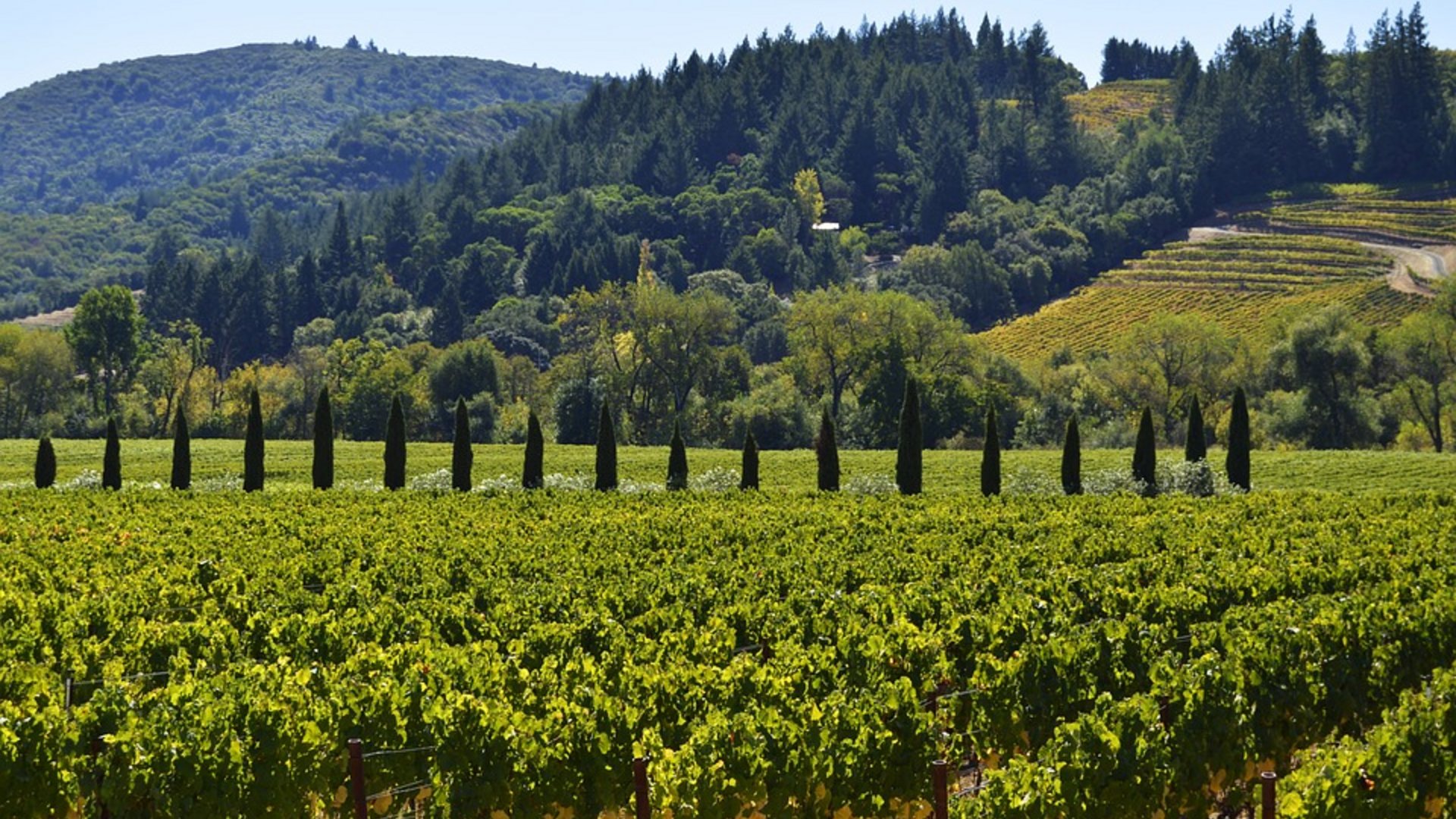 Toscana - Val di Chiana e Crete Senesi: Toscana Gourmet
