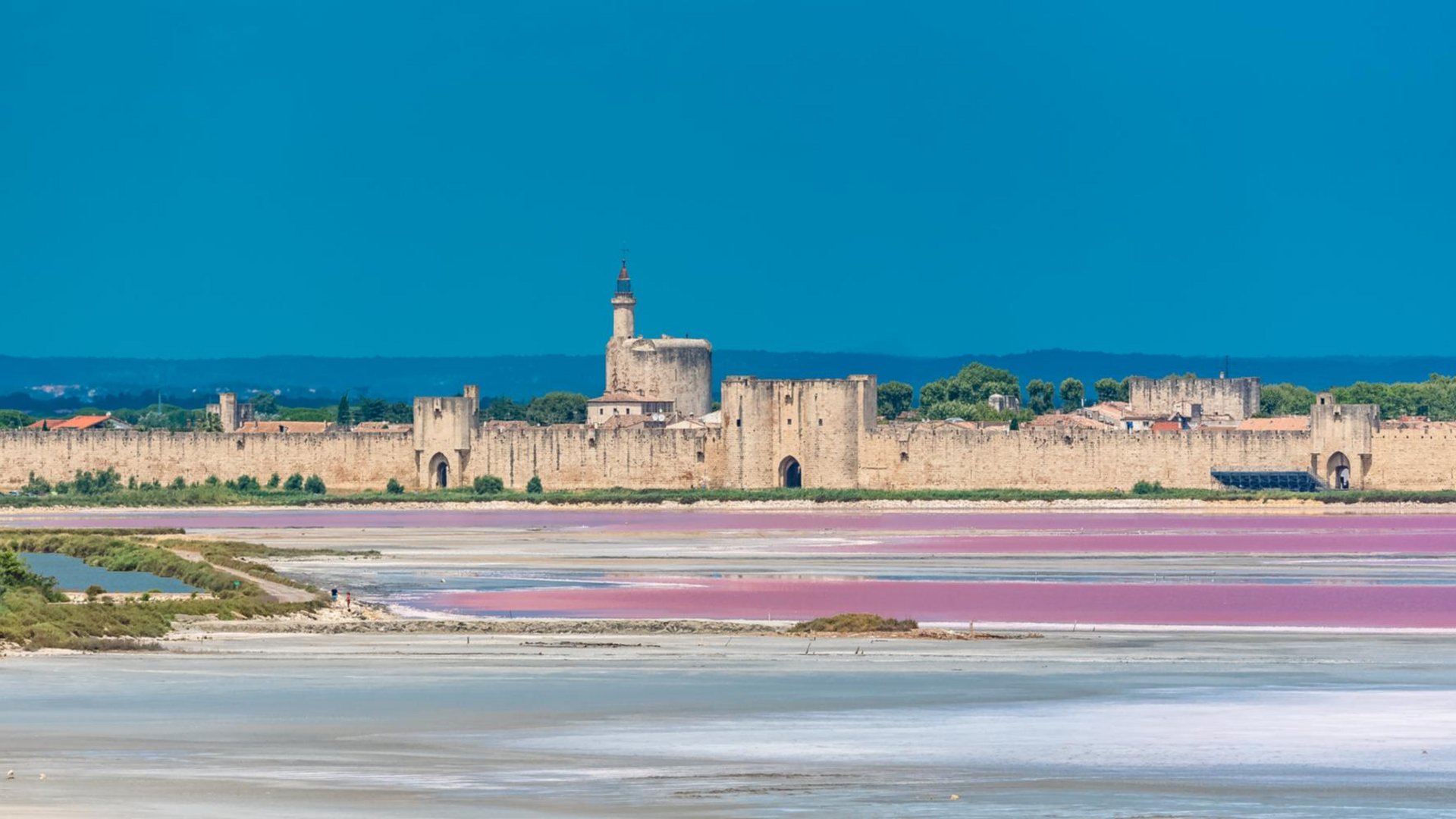 Francia - Provenza e Camargue