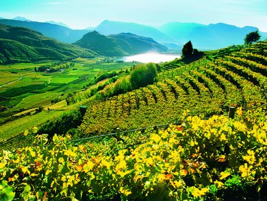 Northern Italy Tour: Culture, Dolomites & Bernina Express