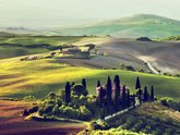 Michelangelo International Travel