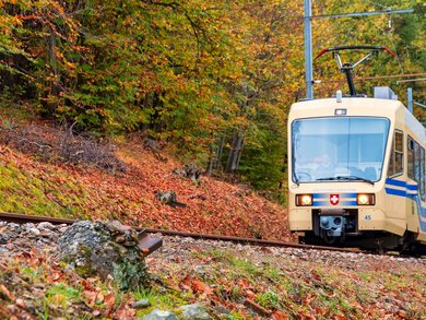 Lago Maggiore - „Tulpenfest“ am Lago Maggiore