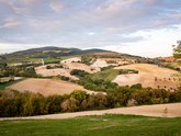 Michelangelo International Travel