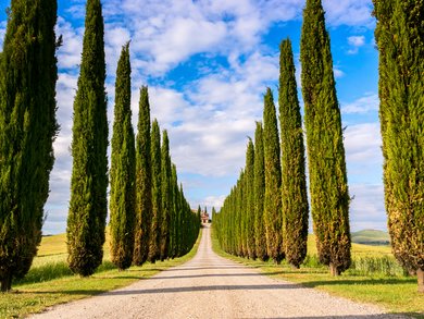 Sicilia - Week-end di gusto a Palermo Sicilia - Week-end di gusto a Palermo