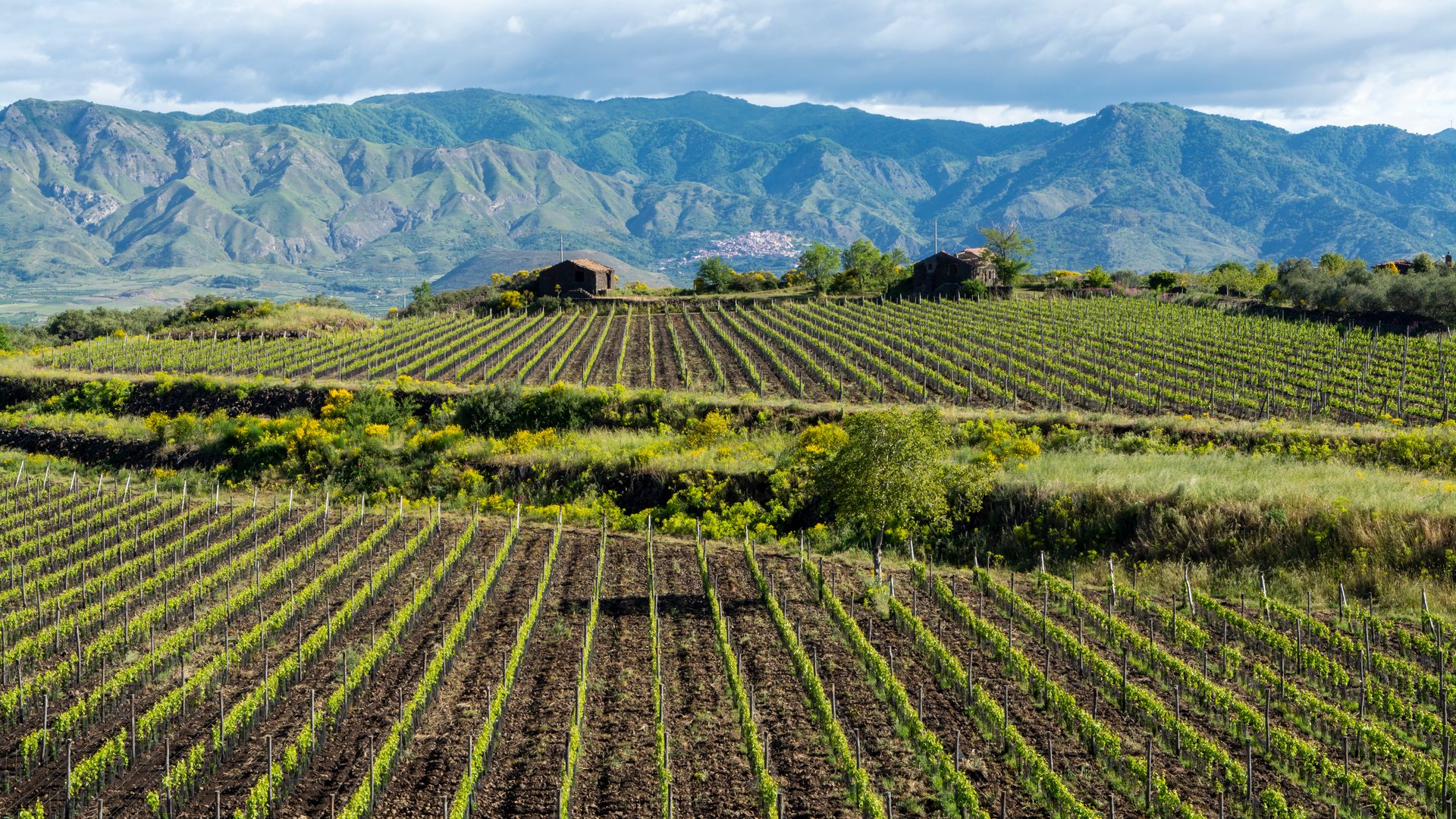 Sicily Gusto Tour – A melting pot of volcanic flavors