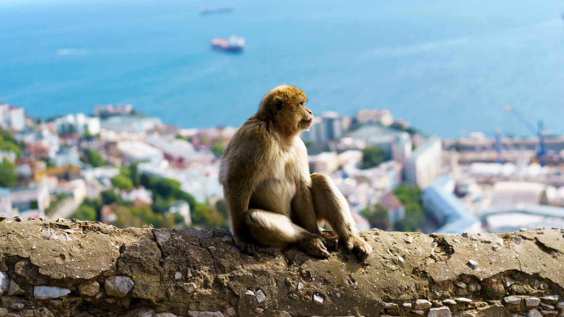 PORTUGAL / SPAIN / MOROCCO / GIBRALTAR [TUR26]