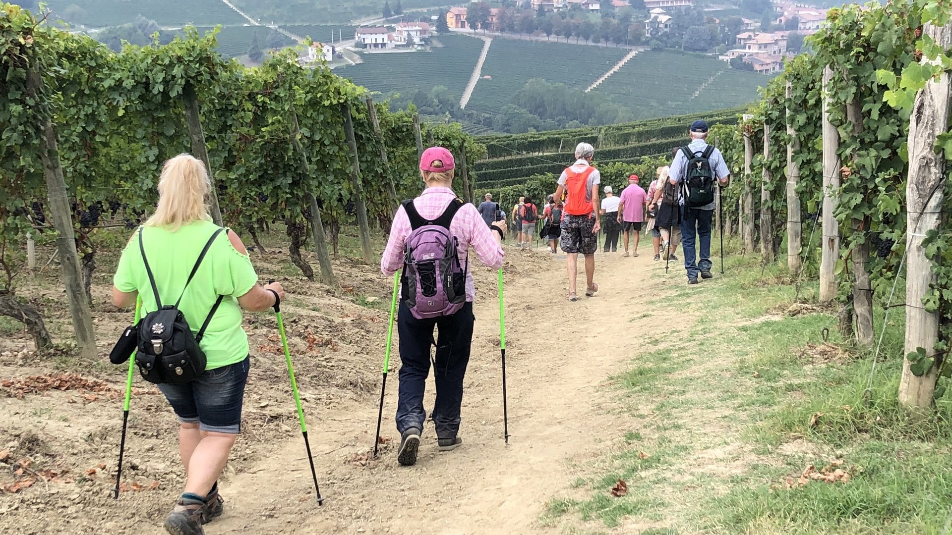 Piedmont Wine & Hiking Tour: Trek Through Barolo’s Vineyards
