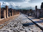 Michelangelo International Travel
