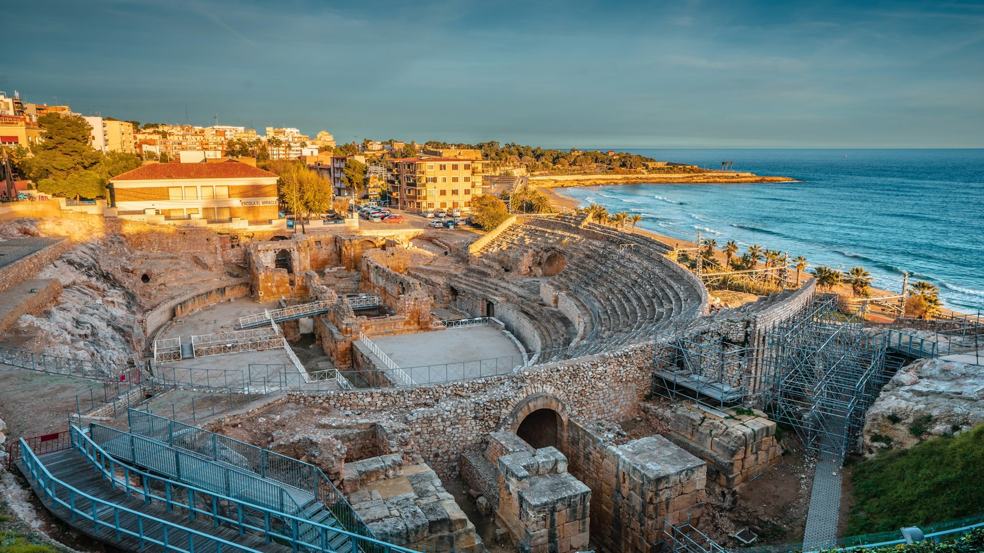 Group Tour Experiences: Olive Harvest Tour in Catalonia & Barcelona