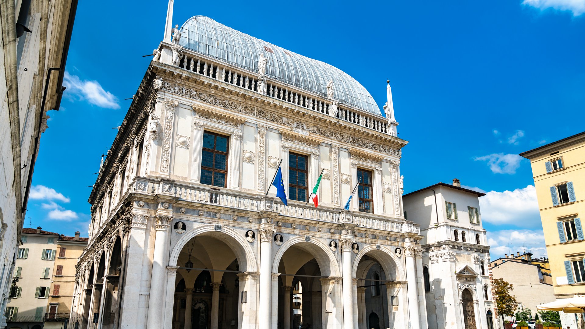 Lombardei - Lotusblüte in Mantua