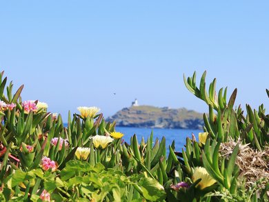 Irlanda del Nord - Miti d’Irlanda Irlanda del Nord - Miti d’Irlanda