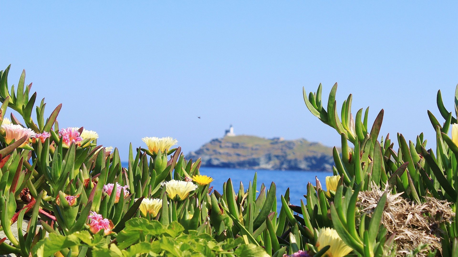 Corsica - Minitour Corsica del Nord