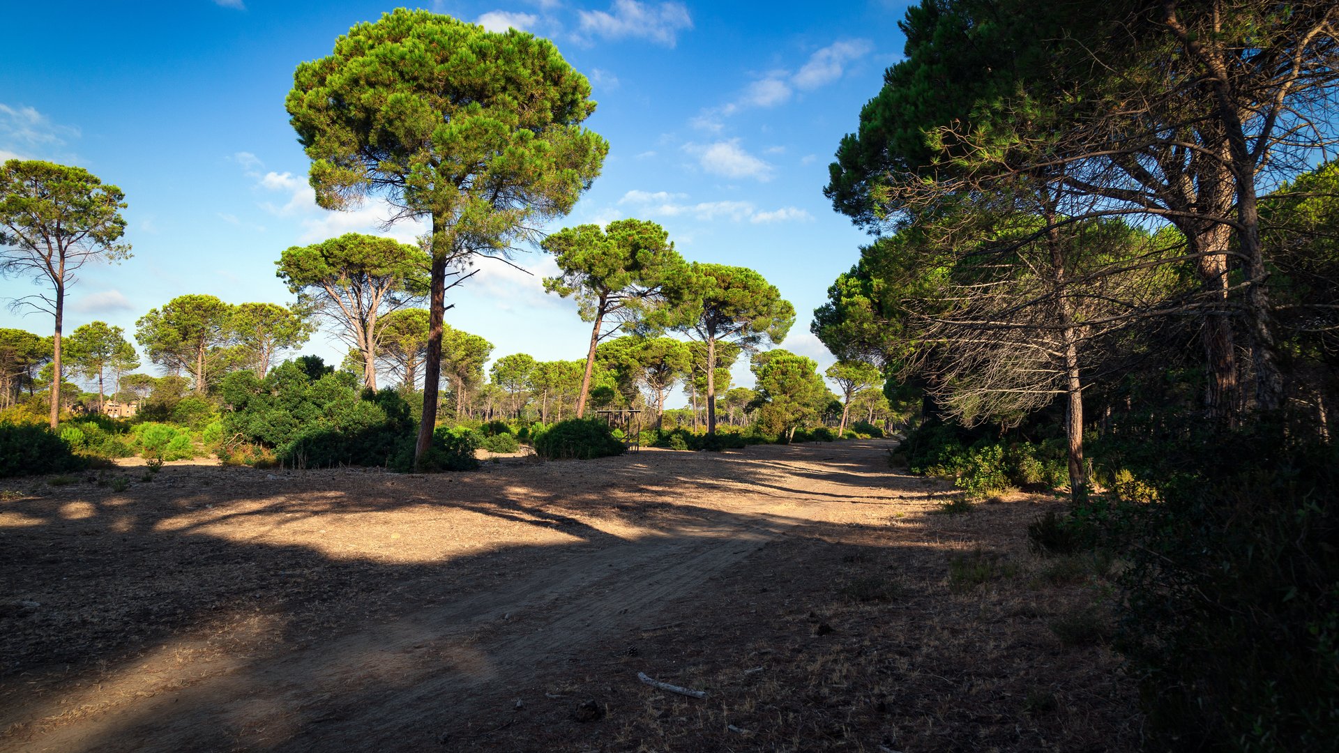Toscana - Maremma e Isola del Giglio