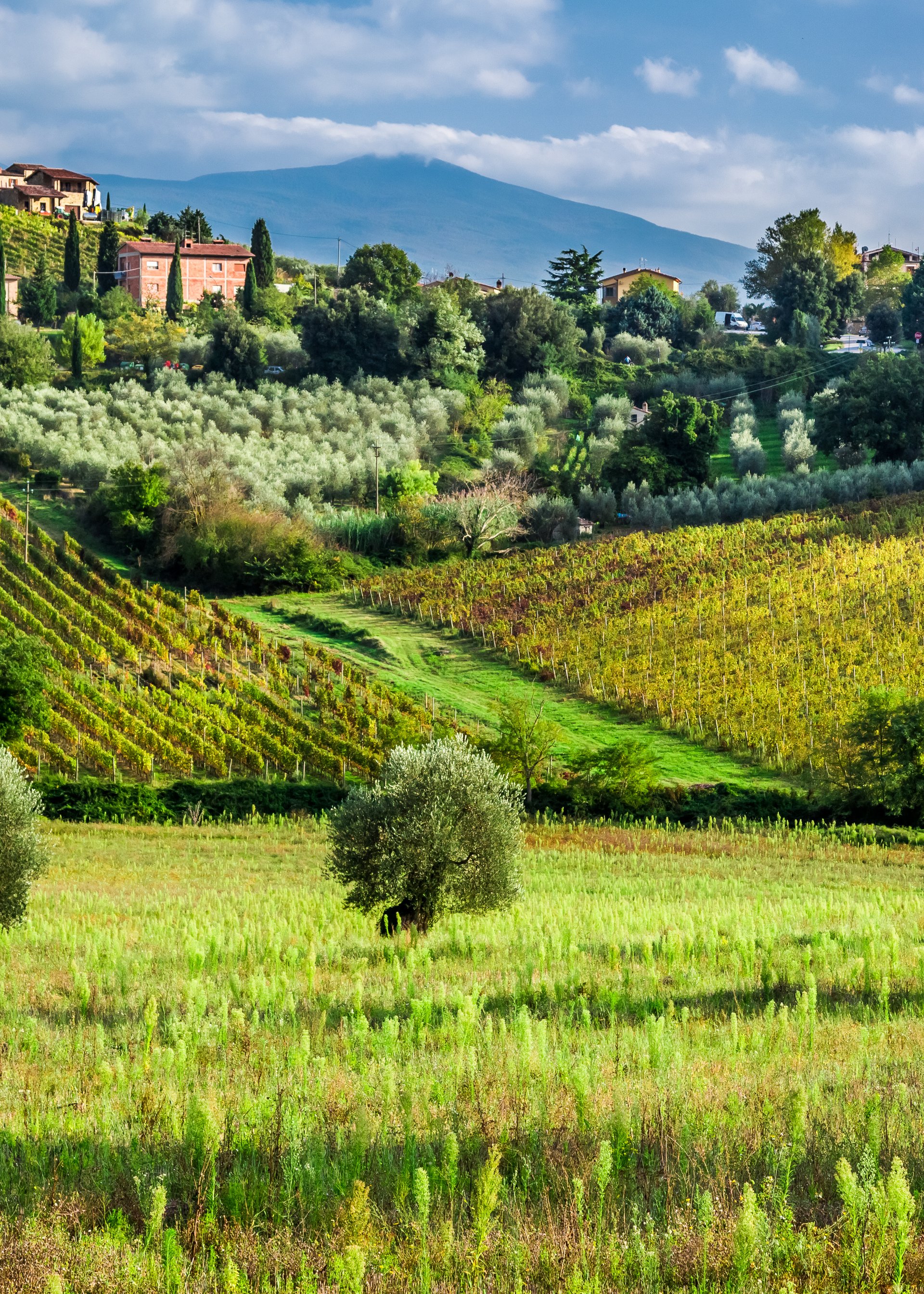 Culinary Tours of Italy, Spain & the Mediterranean – Wine & Food tours for groups
