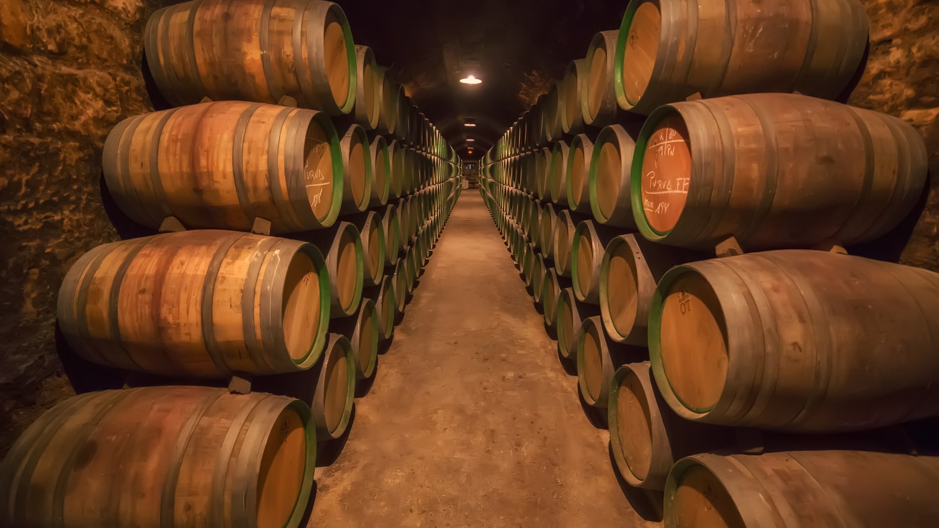 Galicien - Kamelienblüte in Galizien