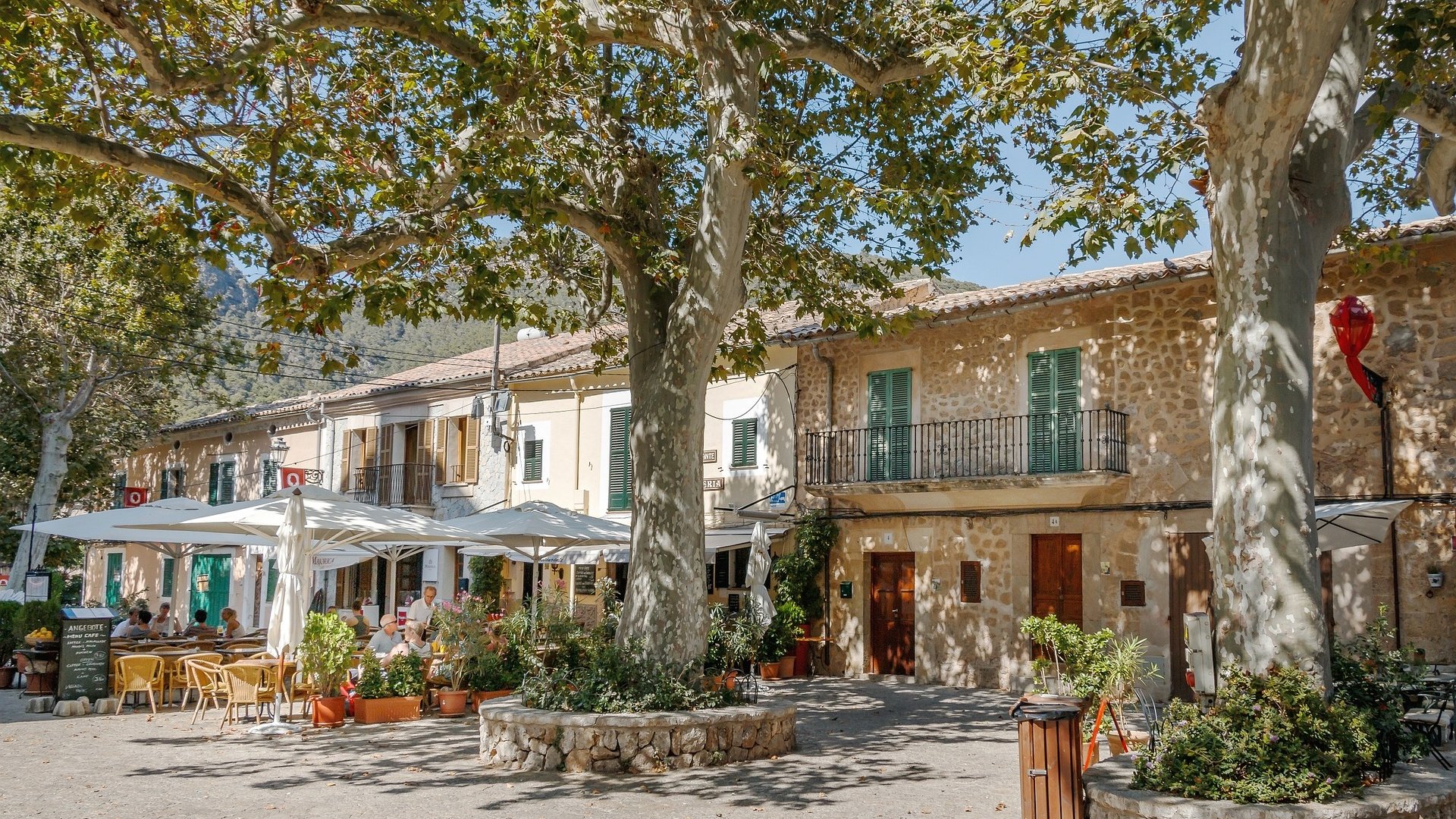 Group Tours to Mallorca: Almond Blossom & Scenic Highlights Group Tours to Mallorca: Almond Blossom & Scenic Highlights