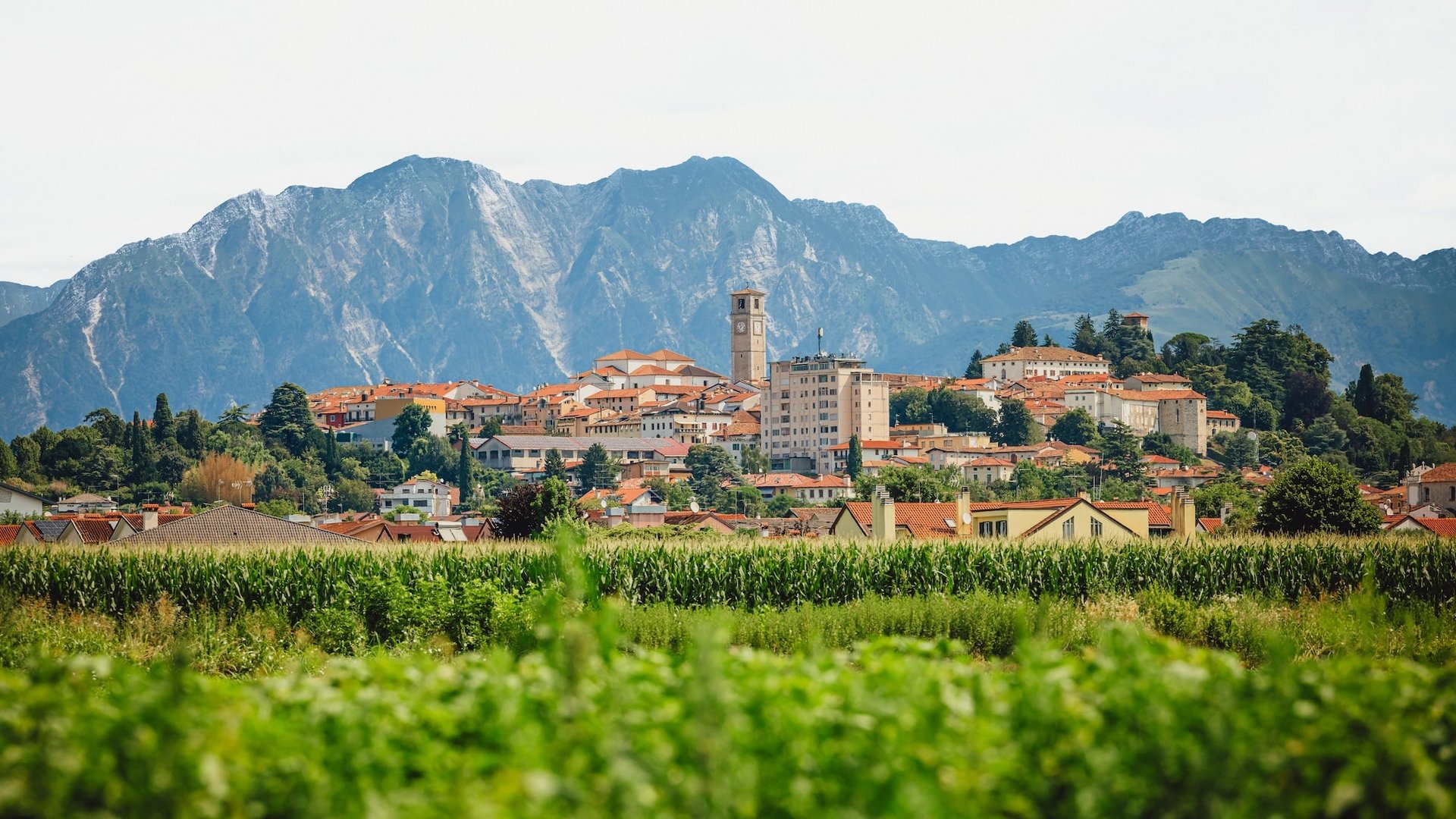 Friuli-Venezia Giulia - Pordenone, Intrecci d'Arte