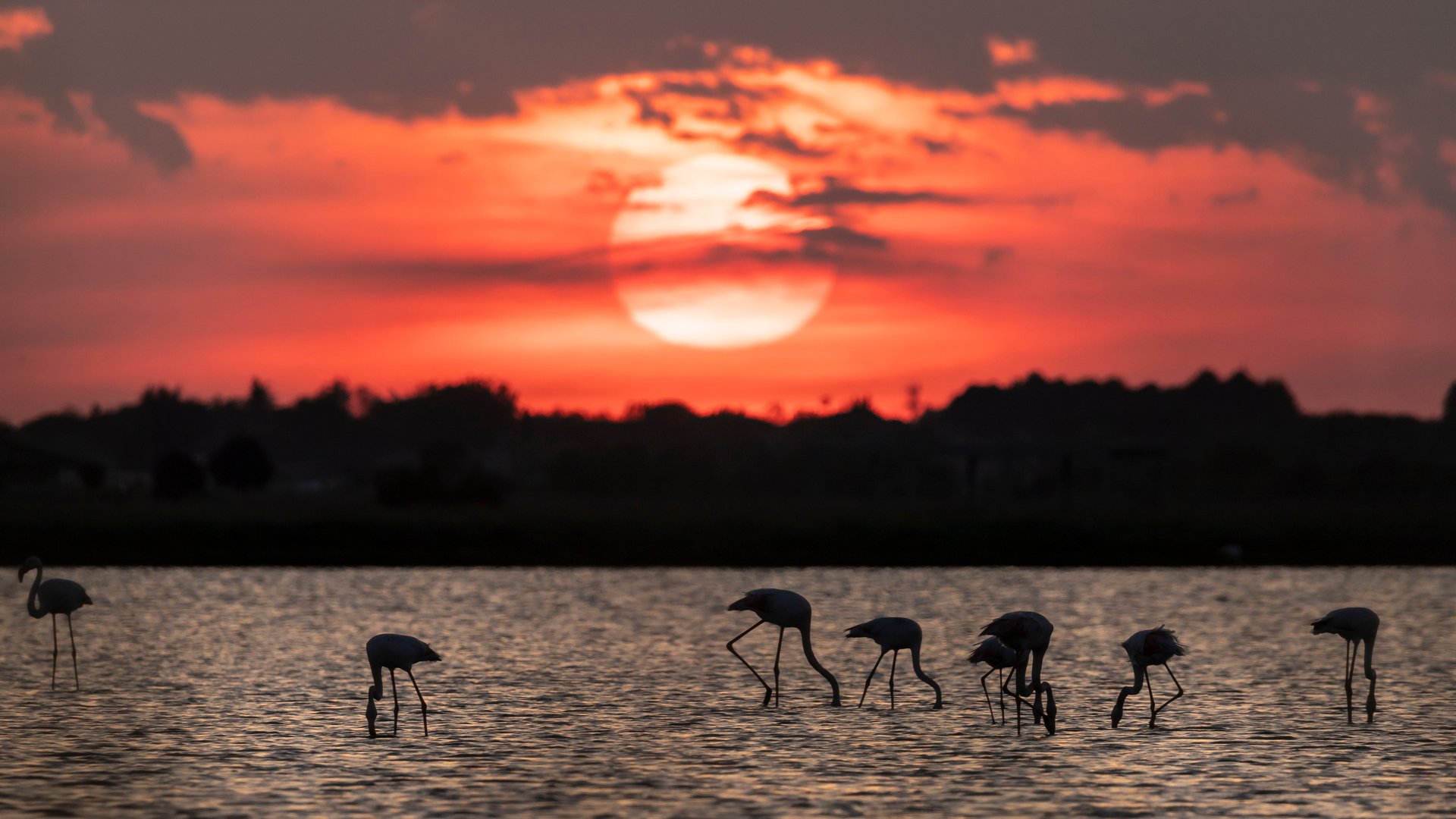 Emilia-Romagna Cultural Tour: From Apennines to the Adriatic Sea Emilia-Romagna Cultural Tour: From Apennines to the Adriatic Sea