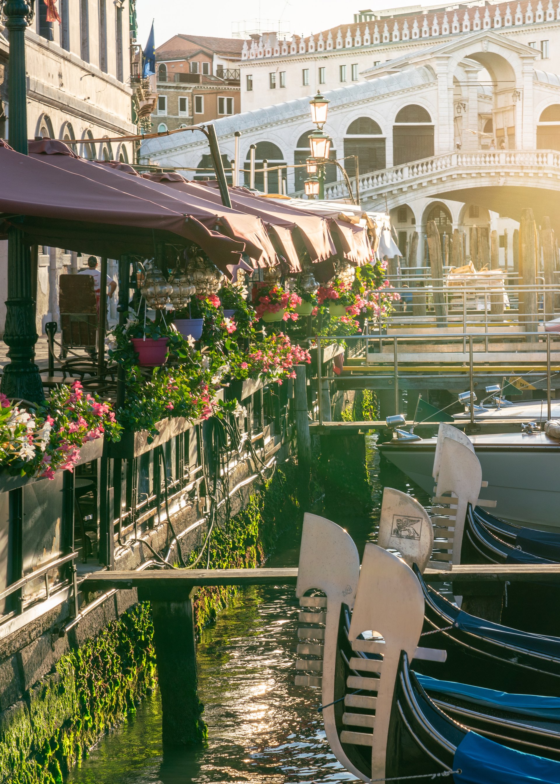 Group tours in Italy with the experts