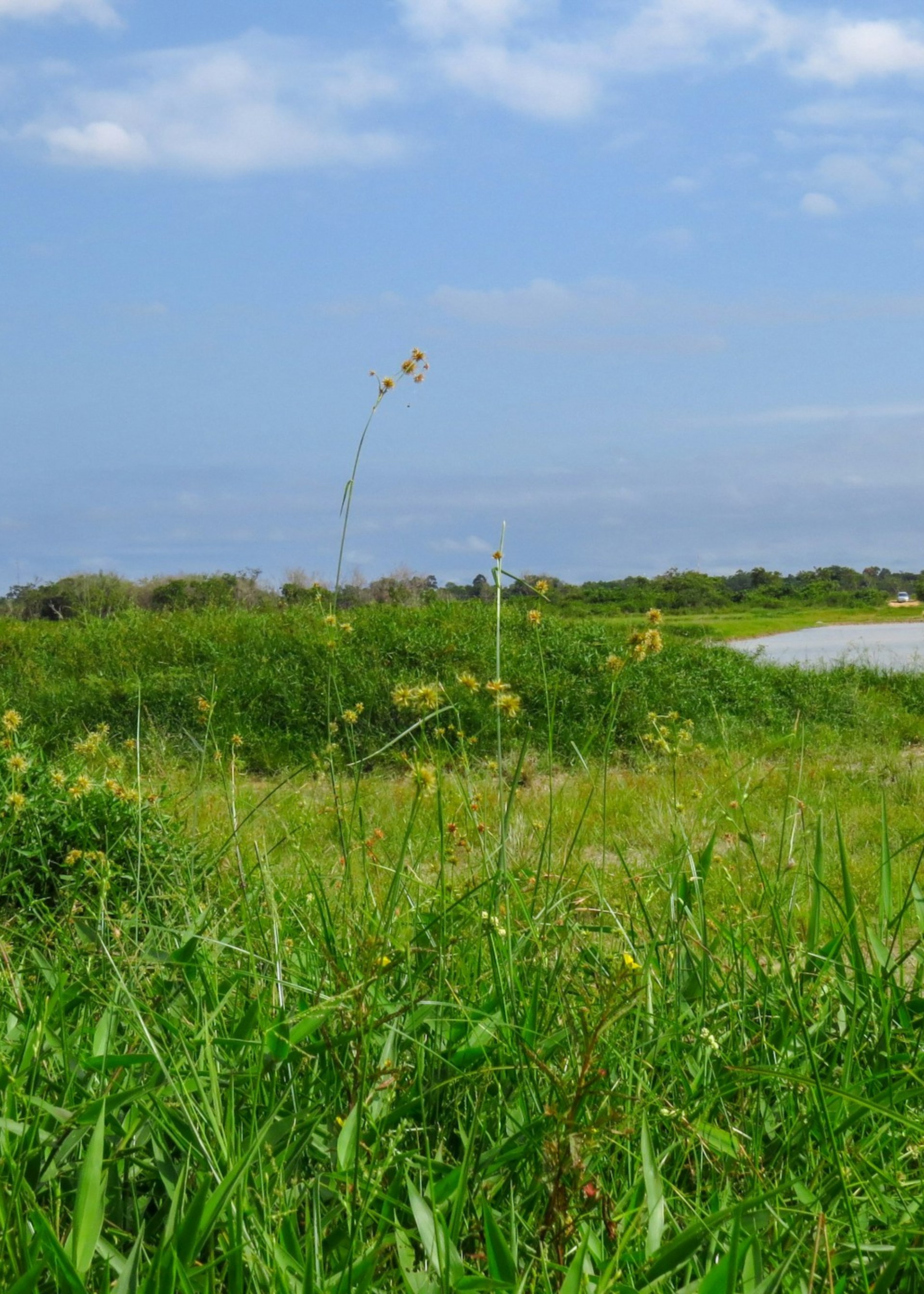 Experiences Beyond Sightseeing | DMC for Italy, Iberia, & the Med Experiences Beyond Sightseeing | DMC for Italy, Iberia, & the Med