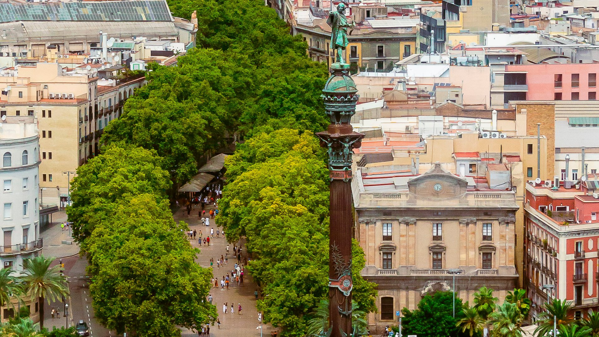 A Mediteranean Odissey A Mediteranean Odissey