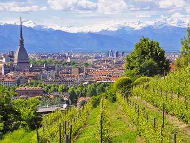 Toscana - La Firenze dei Medici