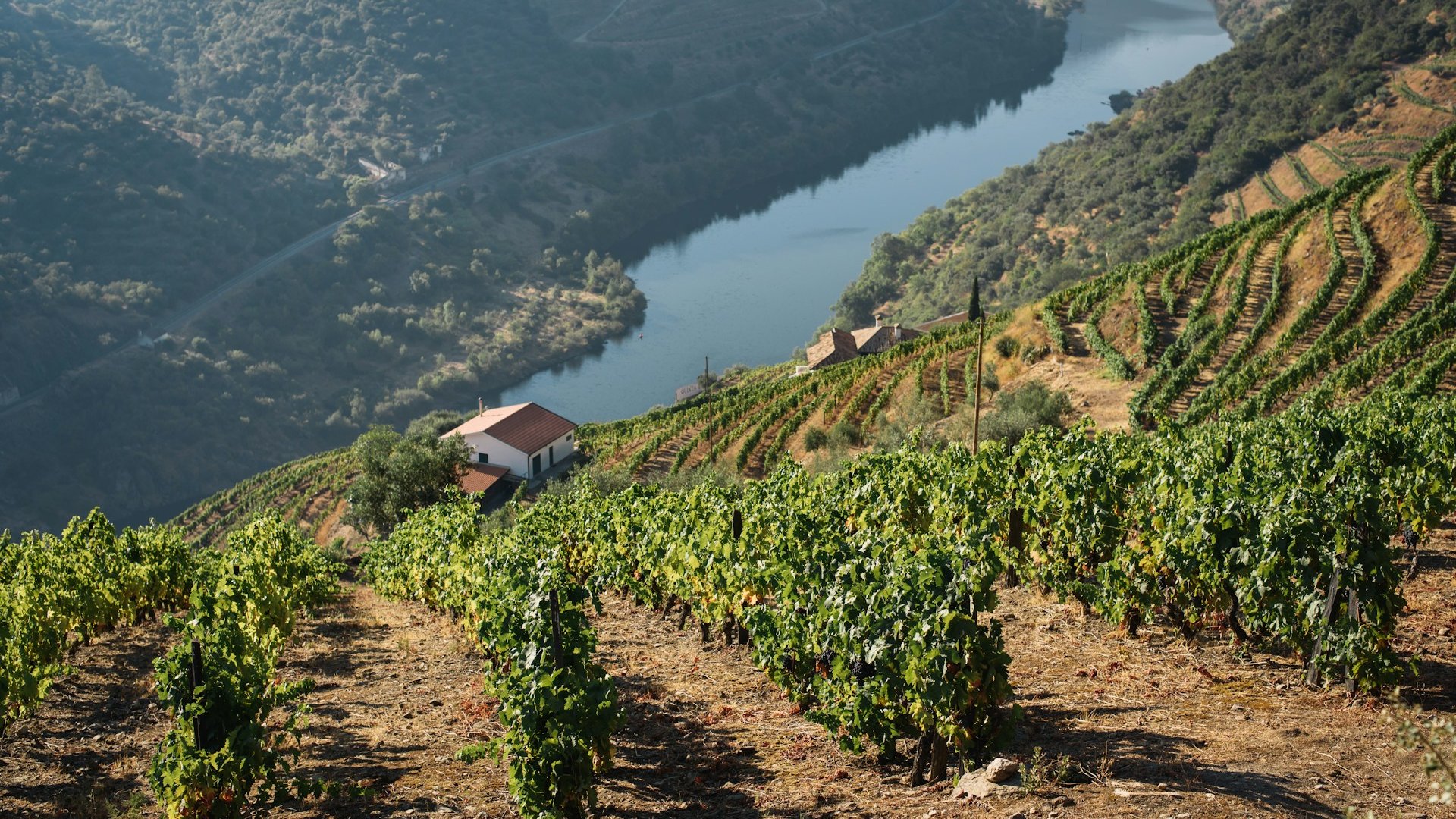 Porto & Douro Valley Group Tour: Almond Blossom & Port Wine – DMC Iberia Porto & Douro Valley Group Tour: Almond Blossom & Port Wine – DMC Iberia