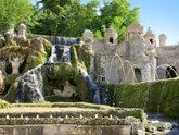 Michelangelo International Travel