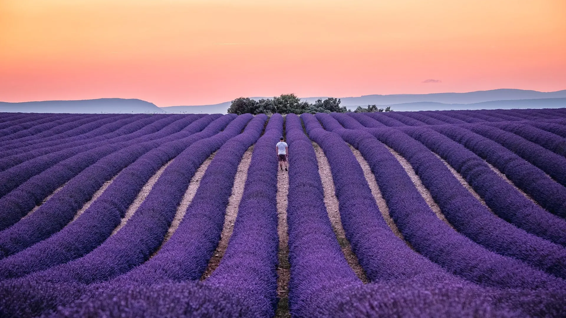 Francia - Colori e profumi di Provenza