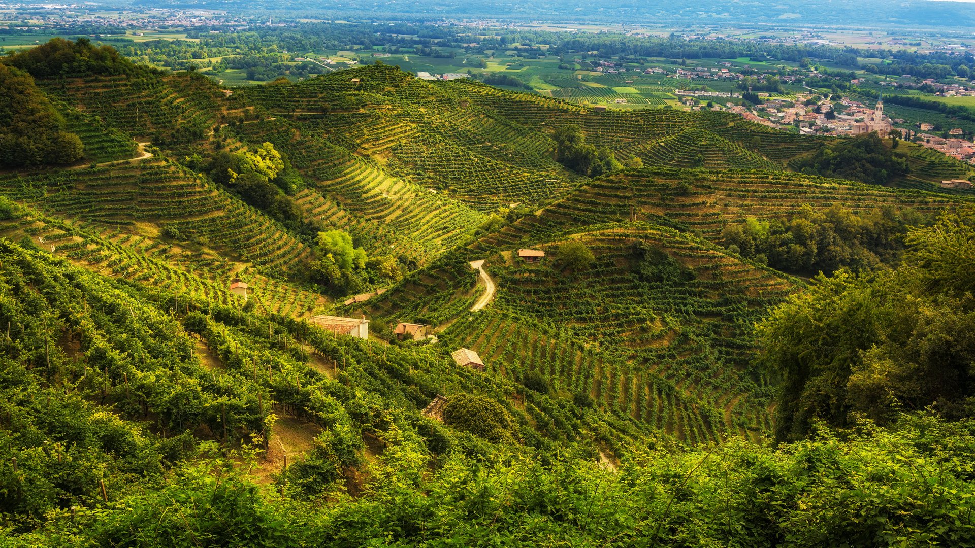 Venetien - Die Lagunenstadt und die Prosecco Straße