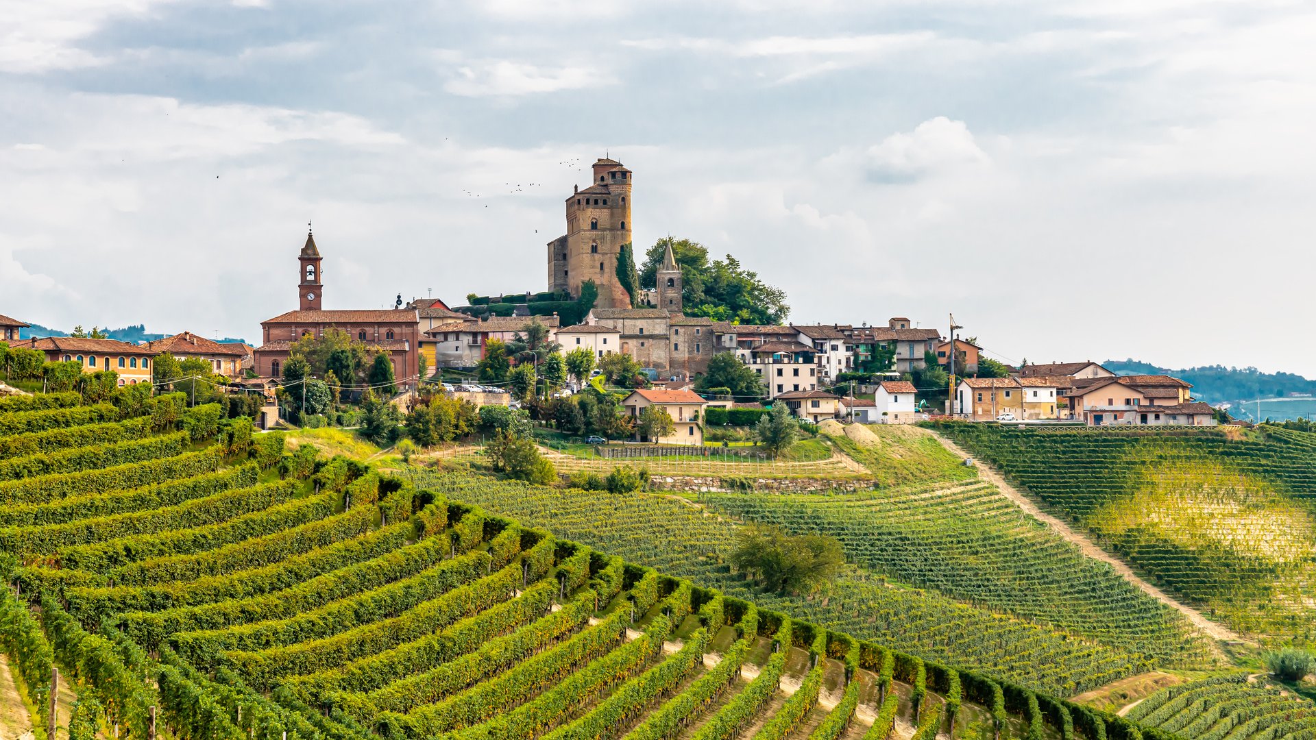 E-Bike & Wine Adventure in Piedmont – Explore Langhe & Roero