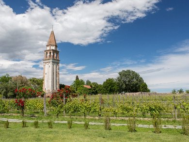 Sonderaktion November | Venetien - 4* Bonotto Hotel Palladio Sonderaktion November | Venetien - 4* Bonotto Hotel Palladio