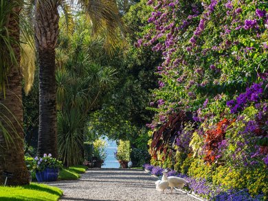 Piemont - Alba zur Trüffelmesse