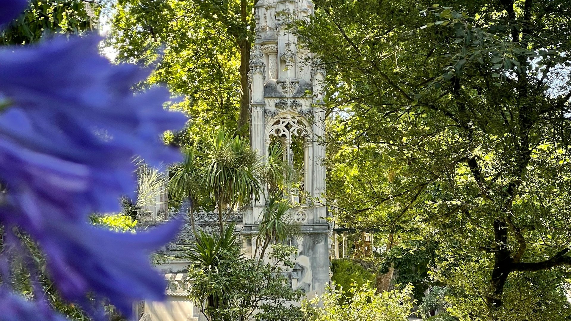 Portugal Group Tour: Porto, Lisbon, Sintra & Northern Treasures